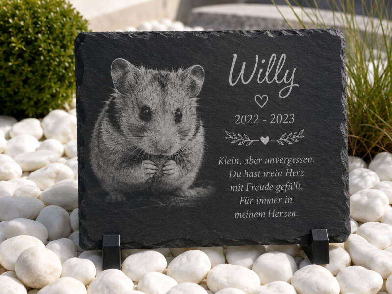 Personalisierte Tiergedenktafel aus Naturschiefer für Hamster Willy mit Foto Gravur, Name, Jahreszahlen und liebevollem Abschiedsspruch, wetterfest für Tiergrab, Garten oder Erinnerungsplatz.