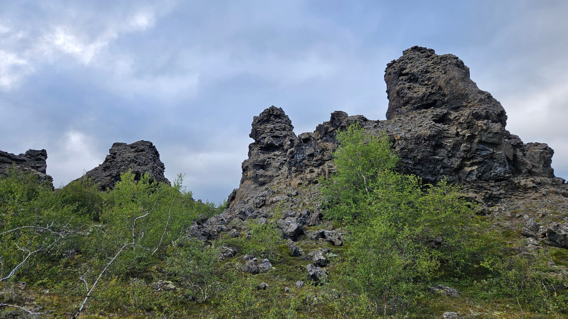 20250827_114126-standard.jpg