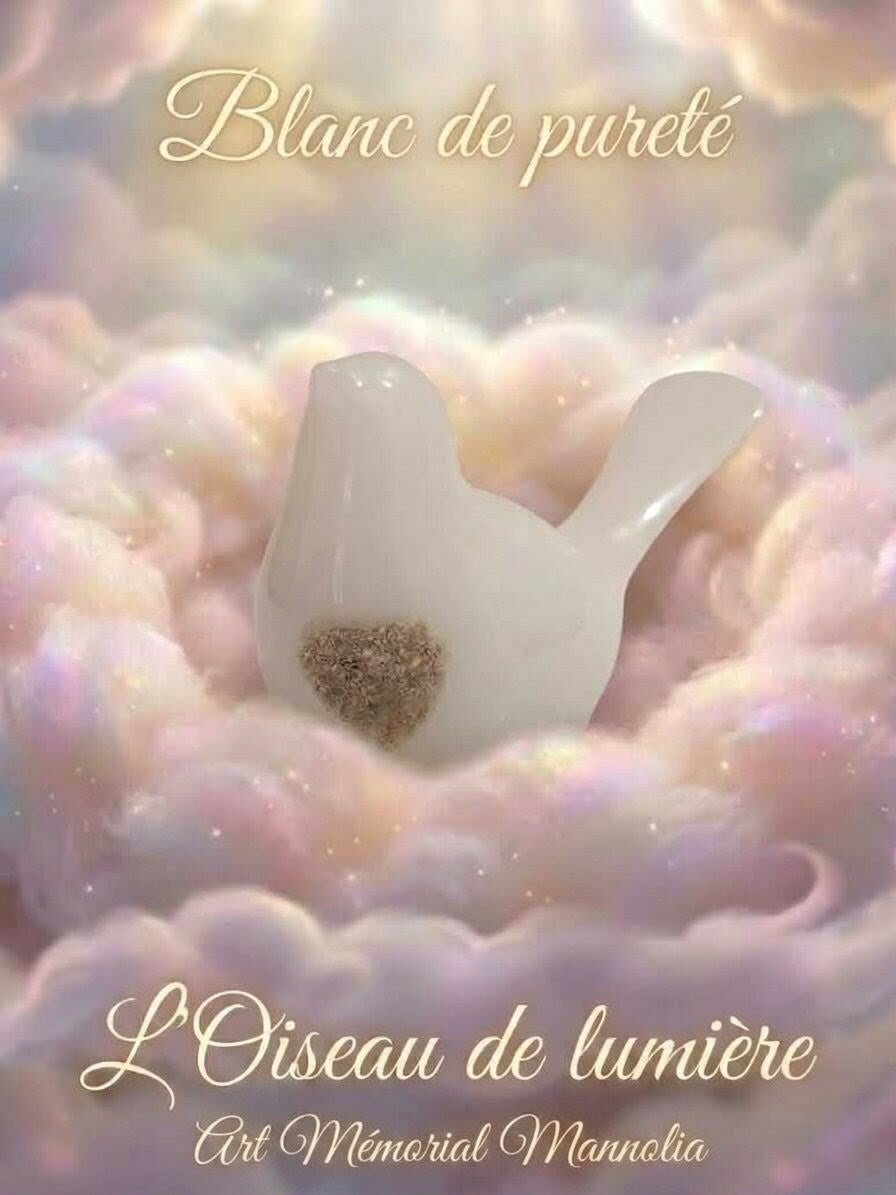 L’oiseau de lumière