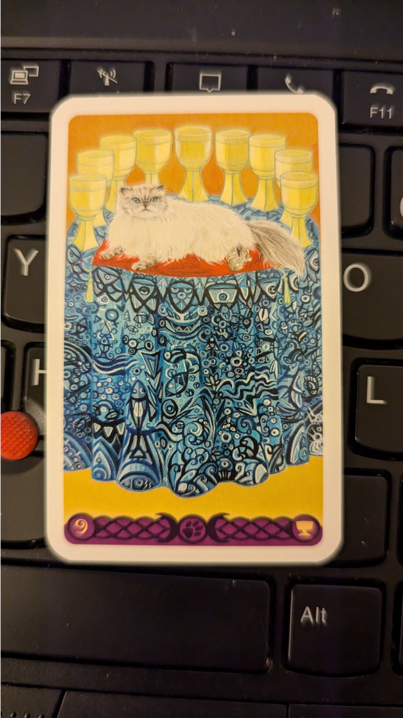 A picture of a small tarot card. 9 of cups. There's a white cat laying on a red pillow surrounded by 9 cups. 