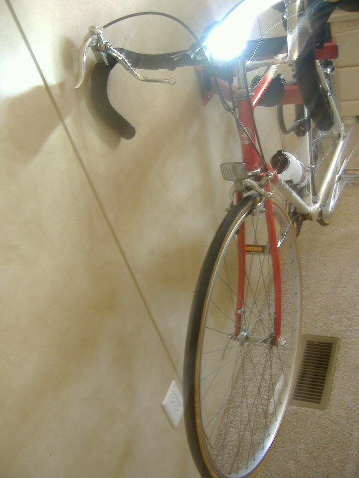 My Bicycle Add Ons (Horn, Lights, etc)