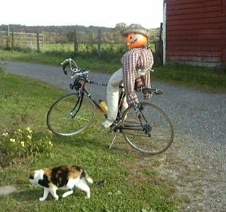 Scarecrowman Riding Jane's Royce Union 10 Speed Racer
