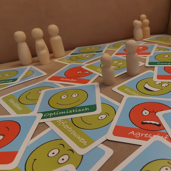 Systemisch Werken voor jeugd en gezin