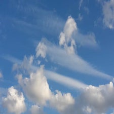 ed41f6fd-7ef1-4fff-891d-17f40b2c2e22.jpg