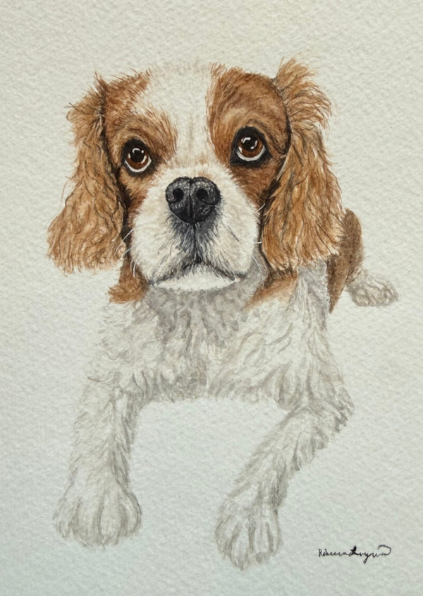 Pet Portrait Commission