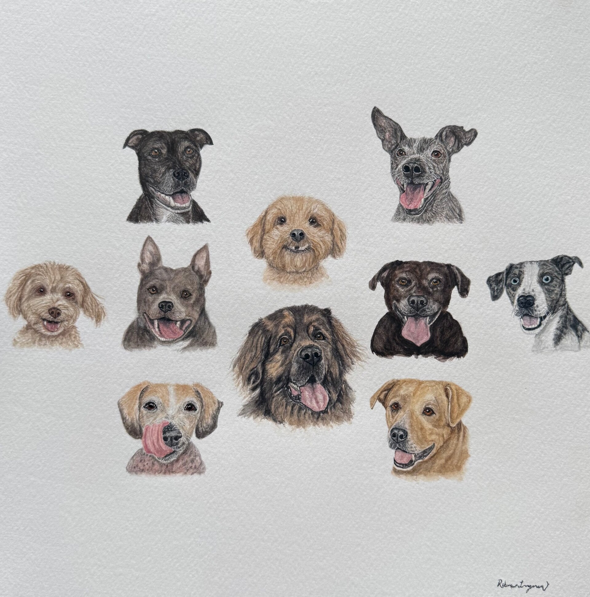 watercolor dog painting boston terrier