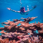 Snorkelingaroundbonaire.jpeg