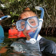 snorkelen mangrove bonaire.jpeg
