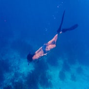 snorkeling bonaire.jpeg