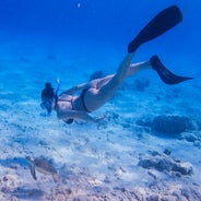 privesnorkeltripbonaire.jpeg