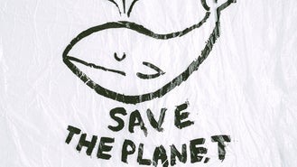 Sluntswear.com is raising donation for saving the whales and our planet against CO2. If you want to help us make a difference, shop now on sluntswear.com
