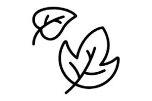 green-leave-standard.png