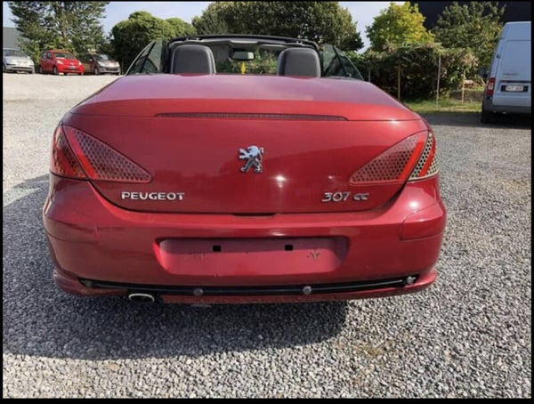 Peugeot 307 cc (Franse auto)
