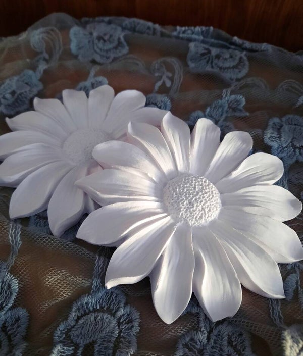 Gerbera