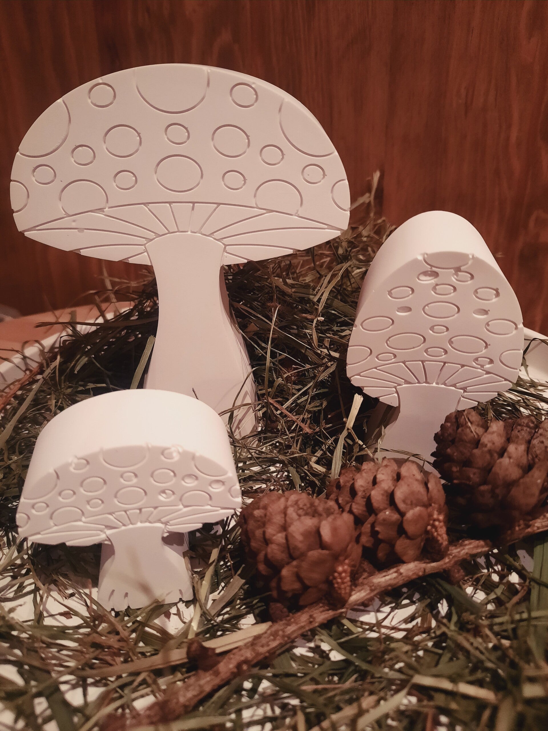 Waldpilze in 3 Größen