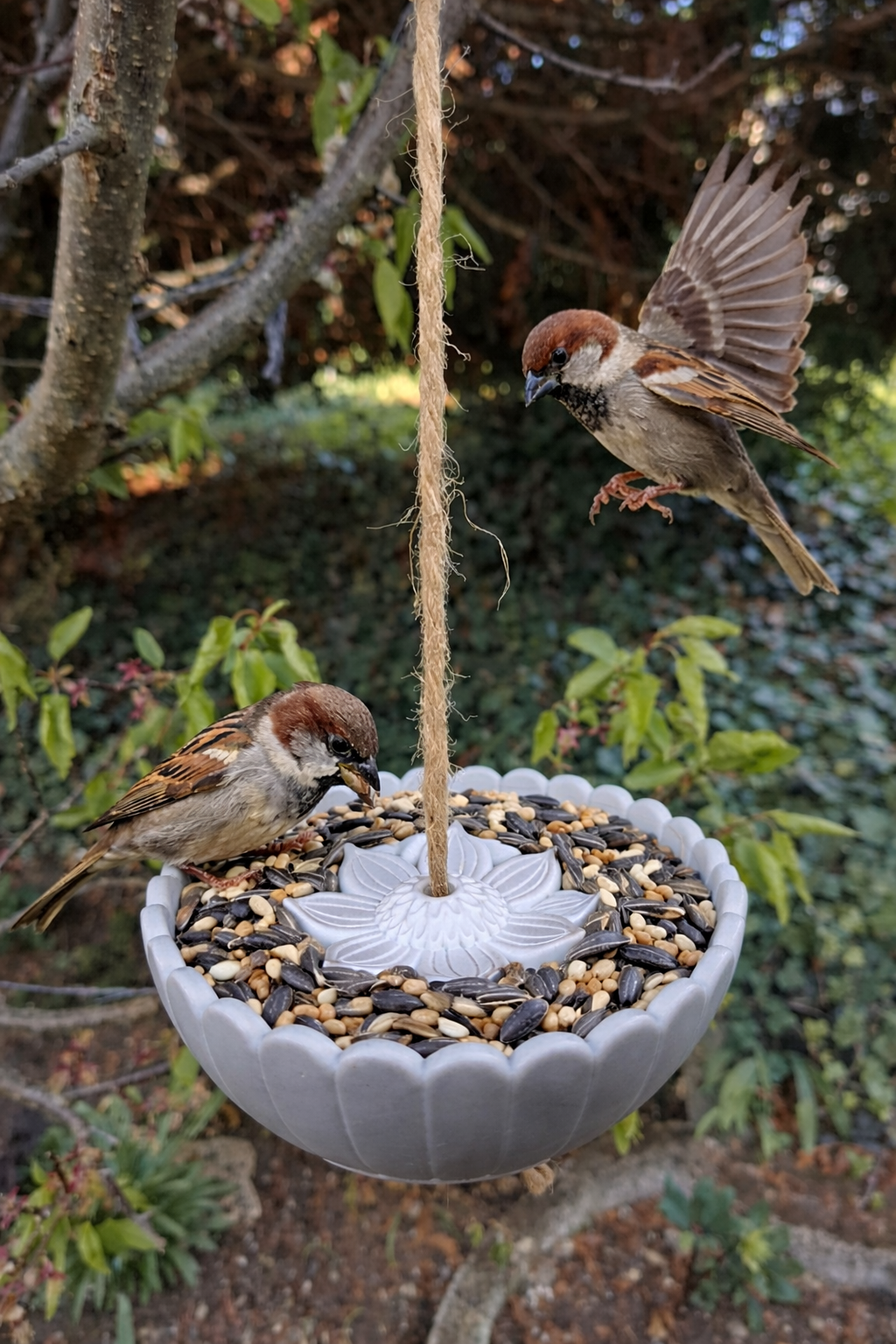 Futterstelle in Blütenform