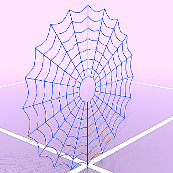 2 Toiles Araignées circulaire