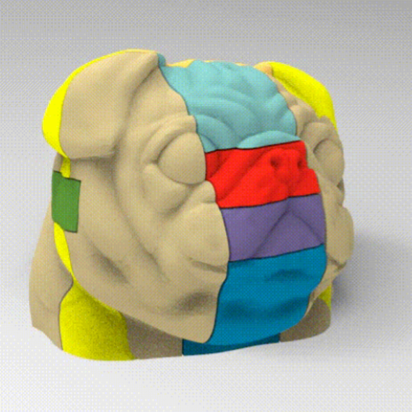 Casse tête tête de chien