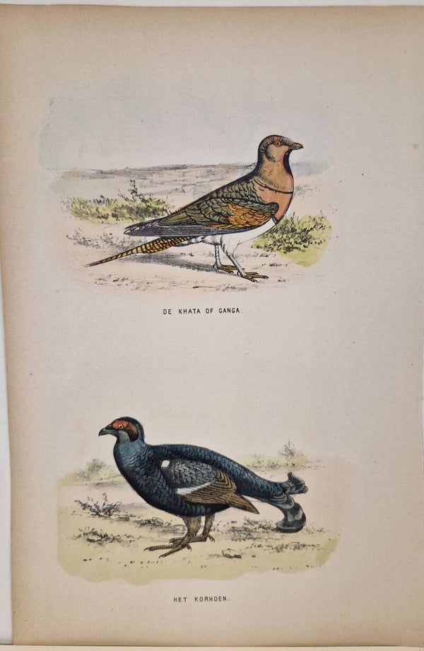 De Khata of Ganga en het Korhoen. L.A.J Burgersdijk 1869.