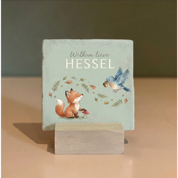 Tegeltje | geboortekaartje