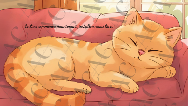 🐾 Ensemble d’Overlays Thème Cat Cute pour Twitch – Miaou- merveilleusement mignon ! 🎮🐱