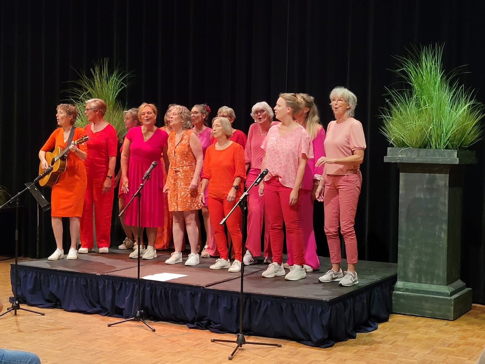 2025-zonnebloem-mei-standard.jpg