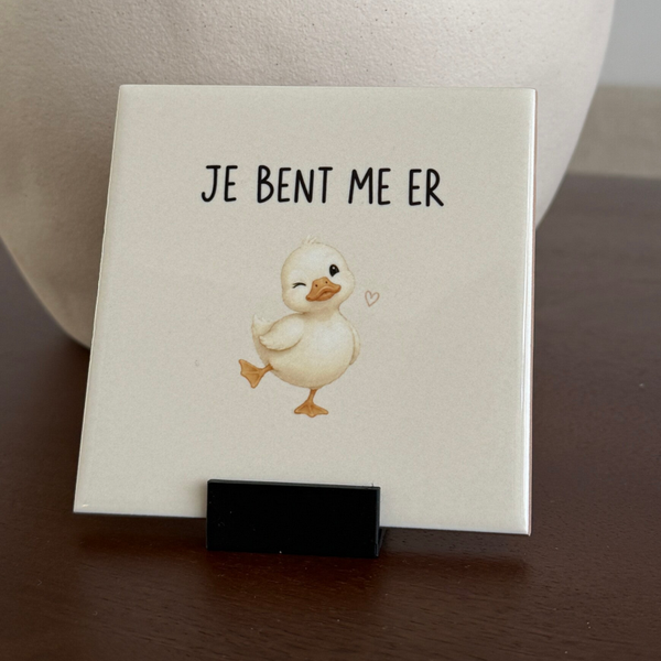 Je bent me er eendje