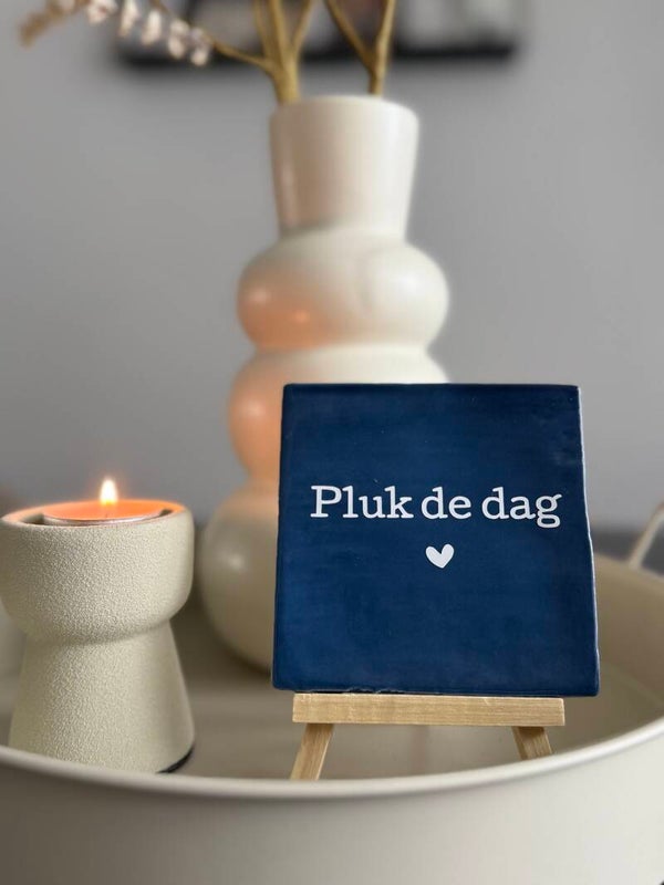 Tegeltje met tekst - pluk de dag -