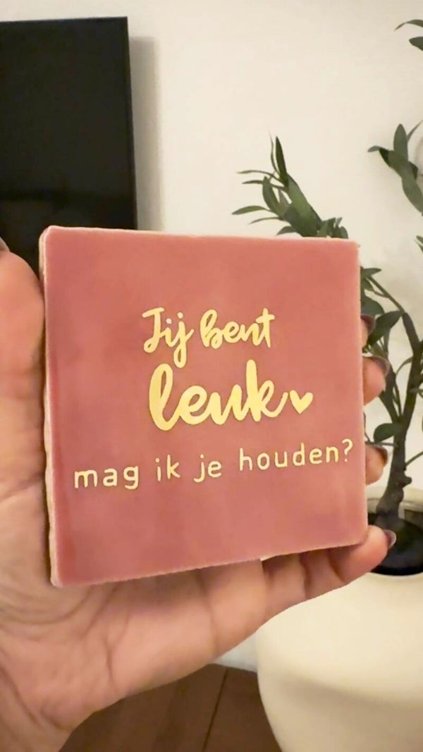 Jij bent leuk mag ik je houden ?