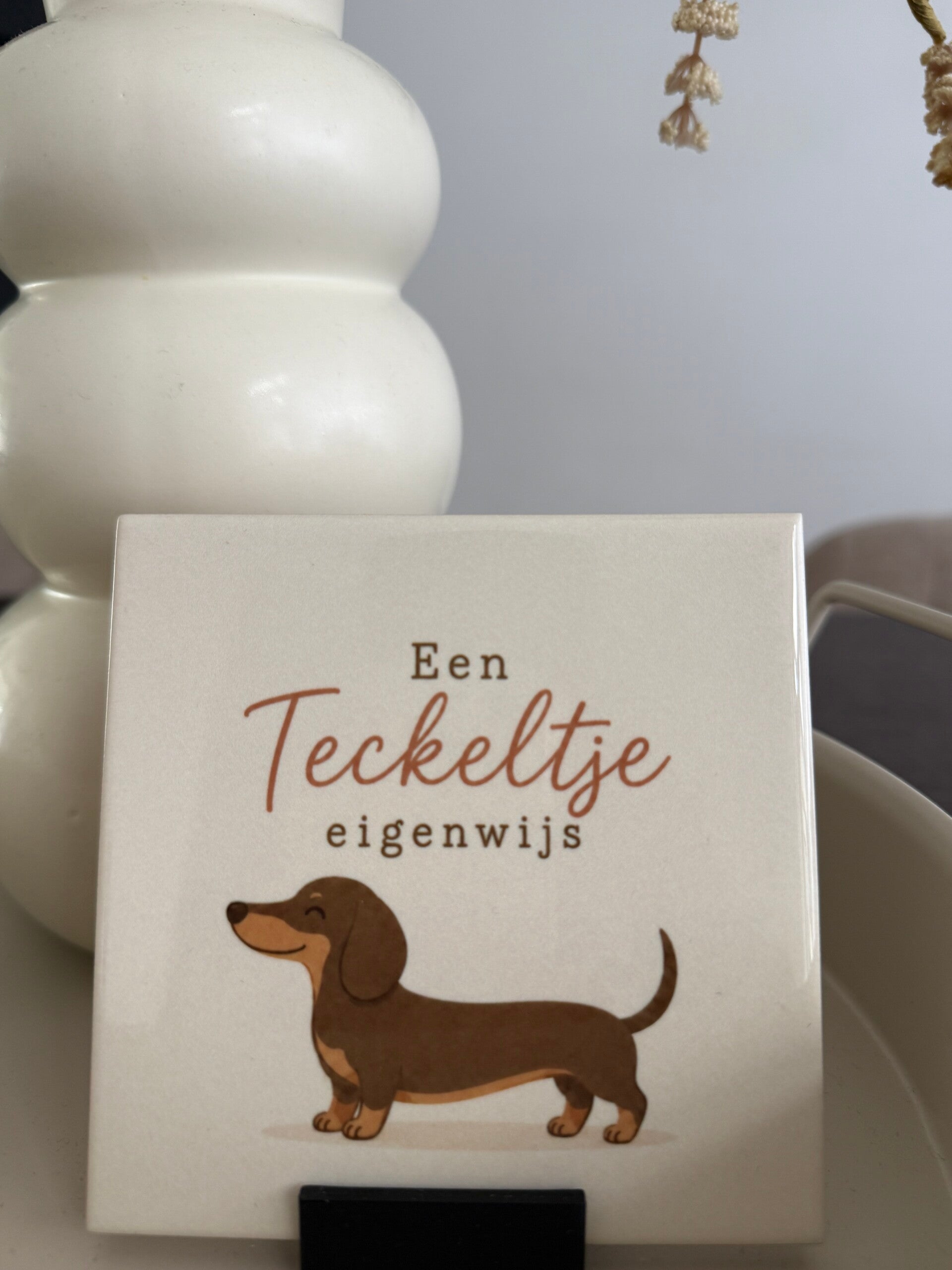 Een teckeltje eigenwijs