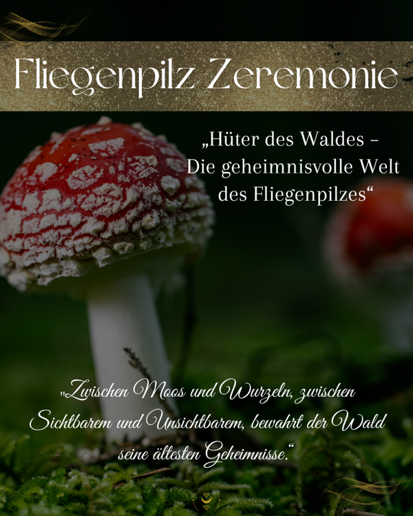 Online Fliegenpilz Zeremonie