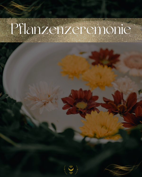 Pflanzenzeremonie