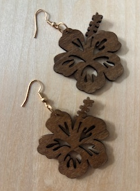 boucles d'oreilles - oreilles  percées