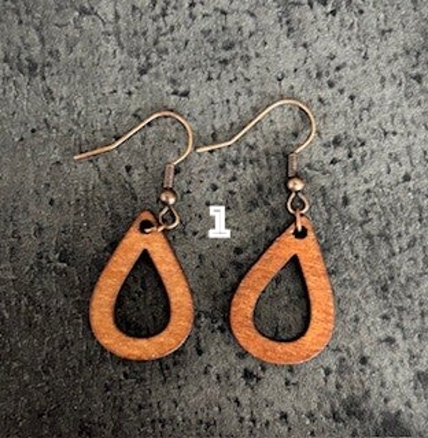 boucles d'oreilles - oreilles  percées