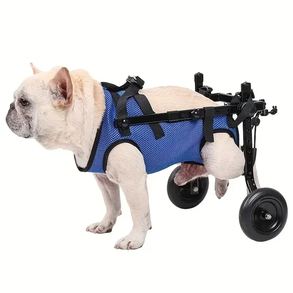 Dog Wheelchair – Mobility Support for Your Best Friend