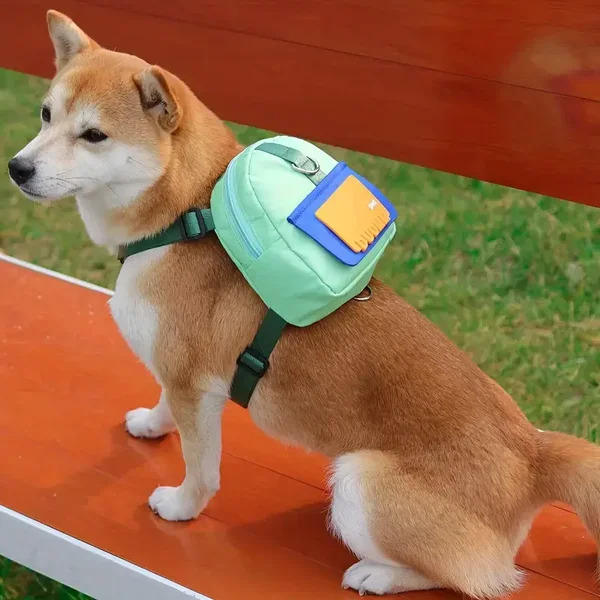 Ajustable stylish colorful pet backpack