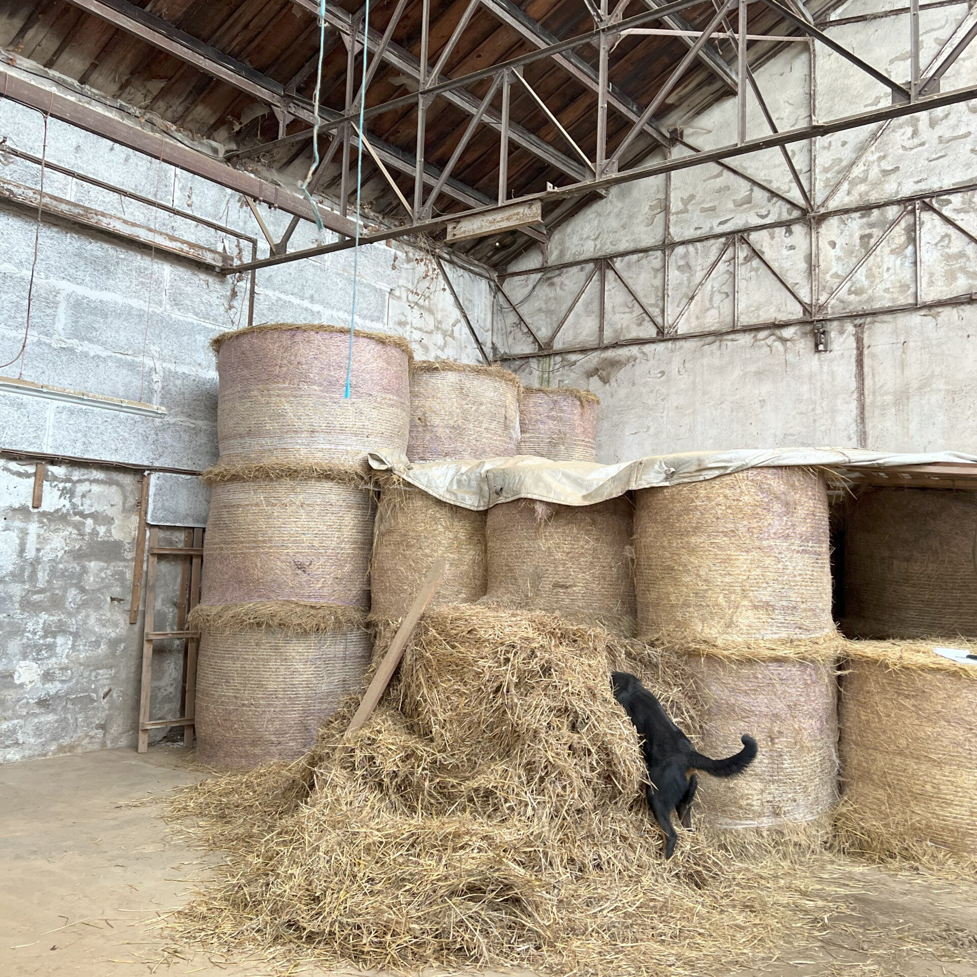 Création d'une habitation en bois par une architecte, espace intérieur type usine