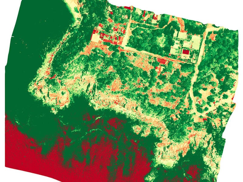 Salud de Vegetación