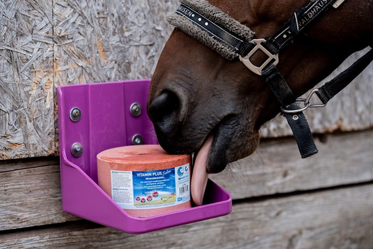 Liksteen vitamine plus selenium