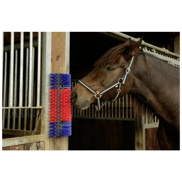 Schuur borstel paard