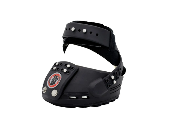 Equine Fusion Trailblazer