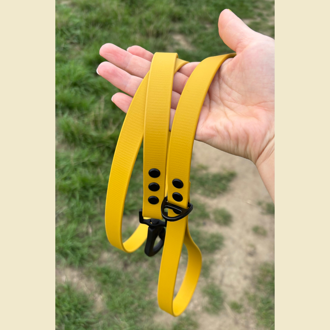 Biothane (plat) hondenlijn