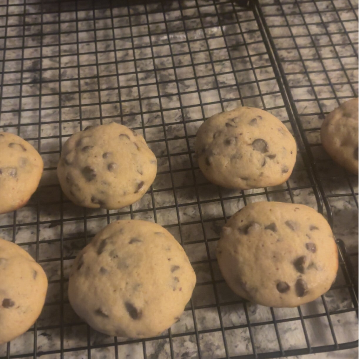 Chocolate chip cookies