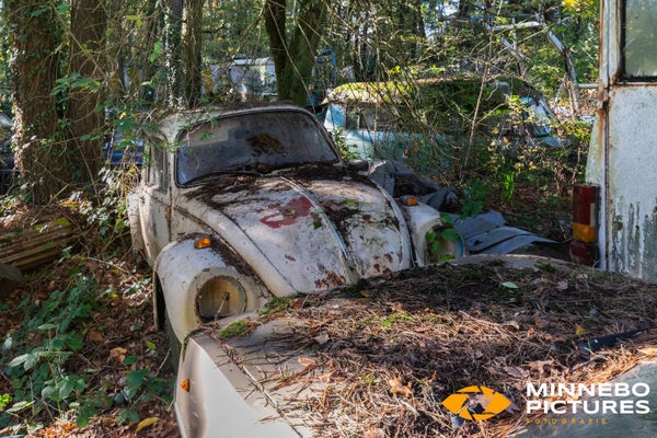 Stuck in the woods and forgotten