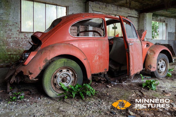 Red Beetle