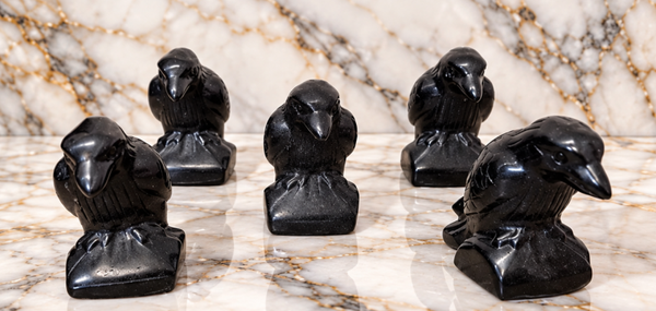 Obsidian Raven