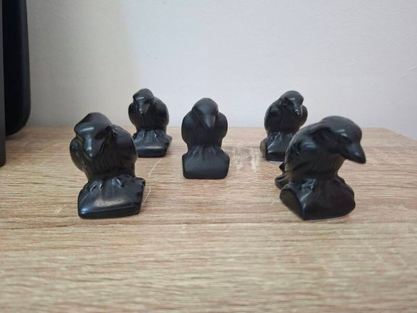Obsidian Raven
