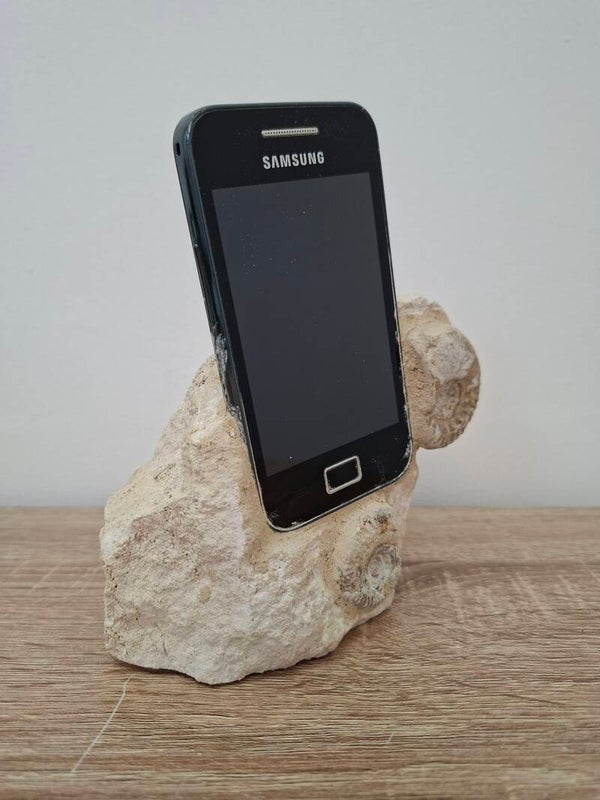 Samsungsaurus Rex