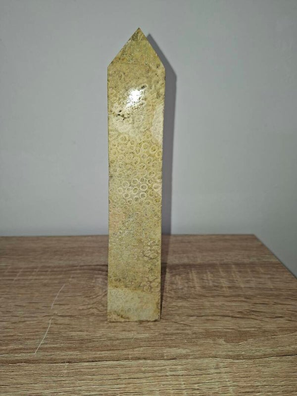 Fossil Coral