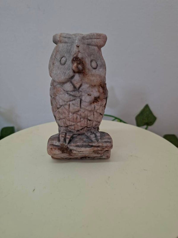 Dulcote Owl